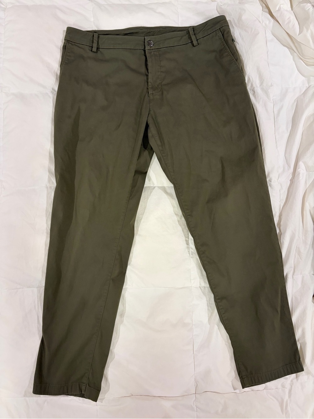 Men's Olive Green Birddogs